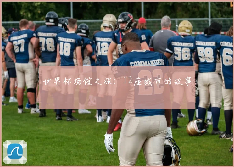 世界杯场馆之旅:12座城市的故事