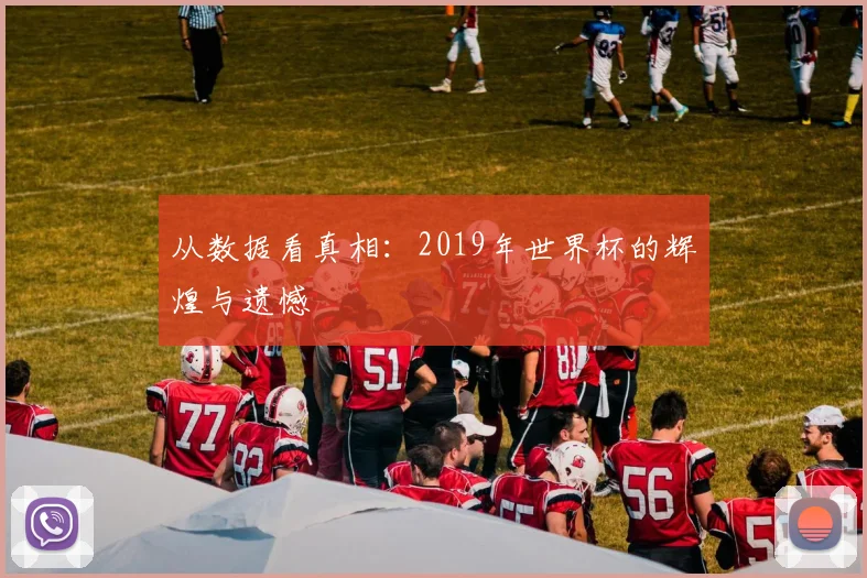 从数据看真相：2019年世界杯的辉煌与遗憾
