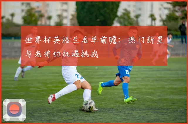 世界杯英格兰名单前瞻：热门新星与老将的机遇挑战