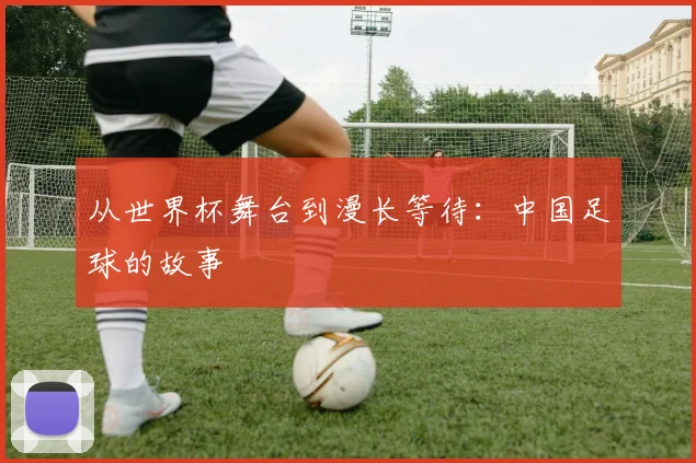 从世界杯舞台到漫长等待:中国足球的故事