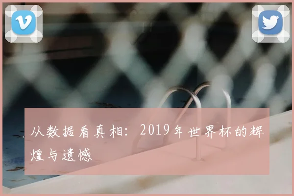 从数据看真相：2019年世界杯的辉煌与遗憾