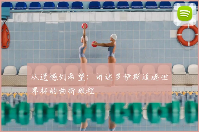 从遗憾到希望:讲述罗伊斯追逐世界杯的曲折旅程