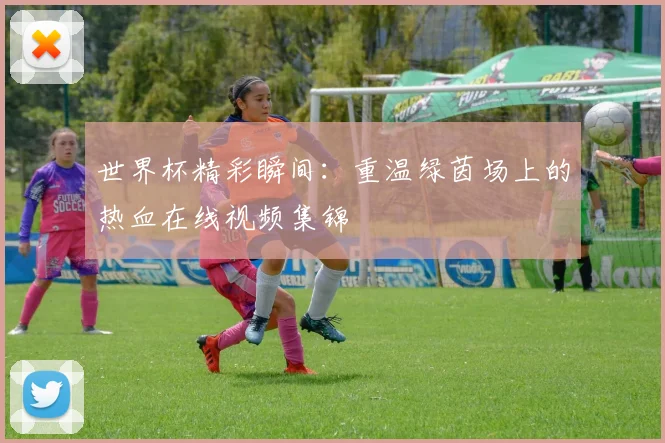 世界杯精彩瞬间：重温绿茵场上的热血在线视频集锦