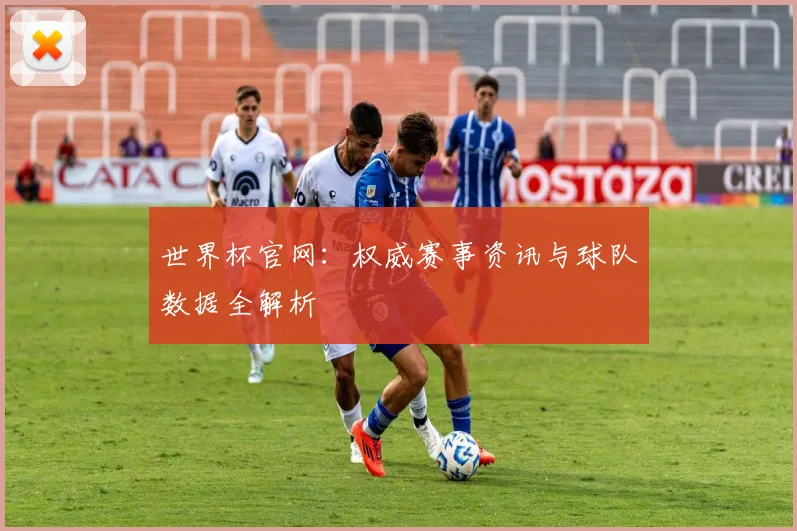 世界杯官网：权威赛事资讯与球队数据全解析